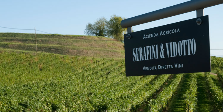 Serafini & Vidotto