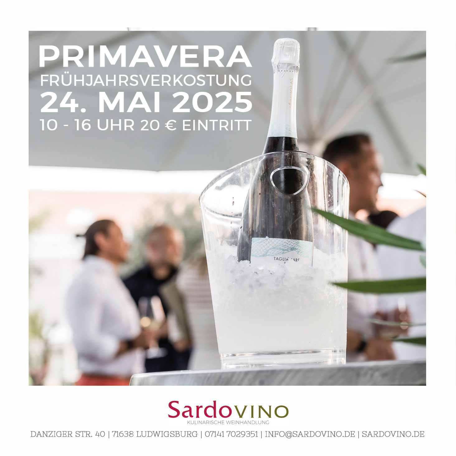 Primavera 2025
